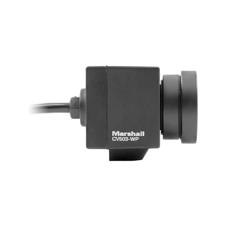 Marshall CV503-WP Marshall CV503-WP