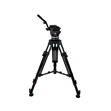Cartoni Focus 8 Cartoni Focus 8